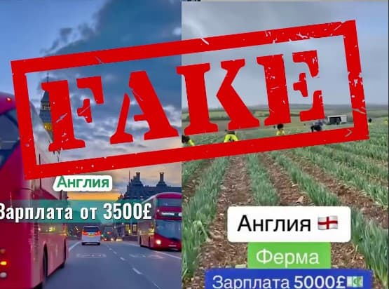 Внимание!