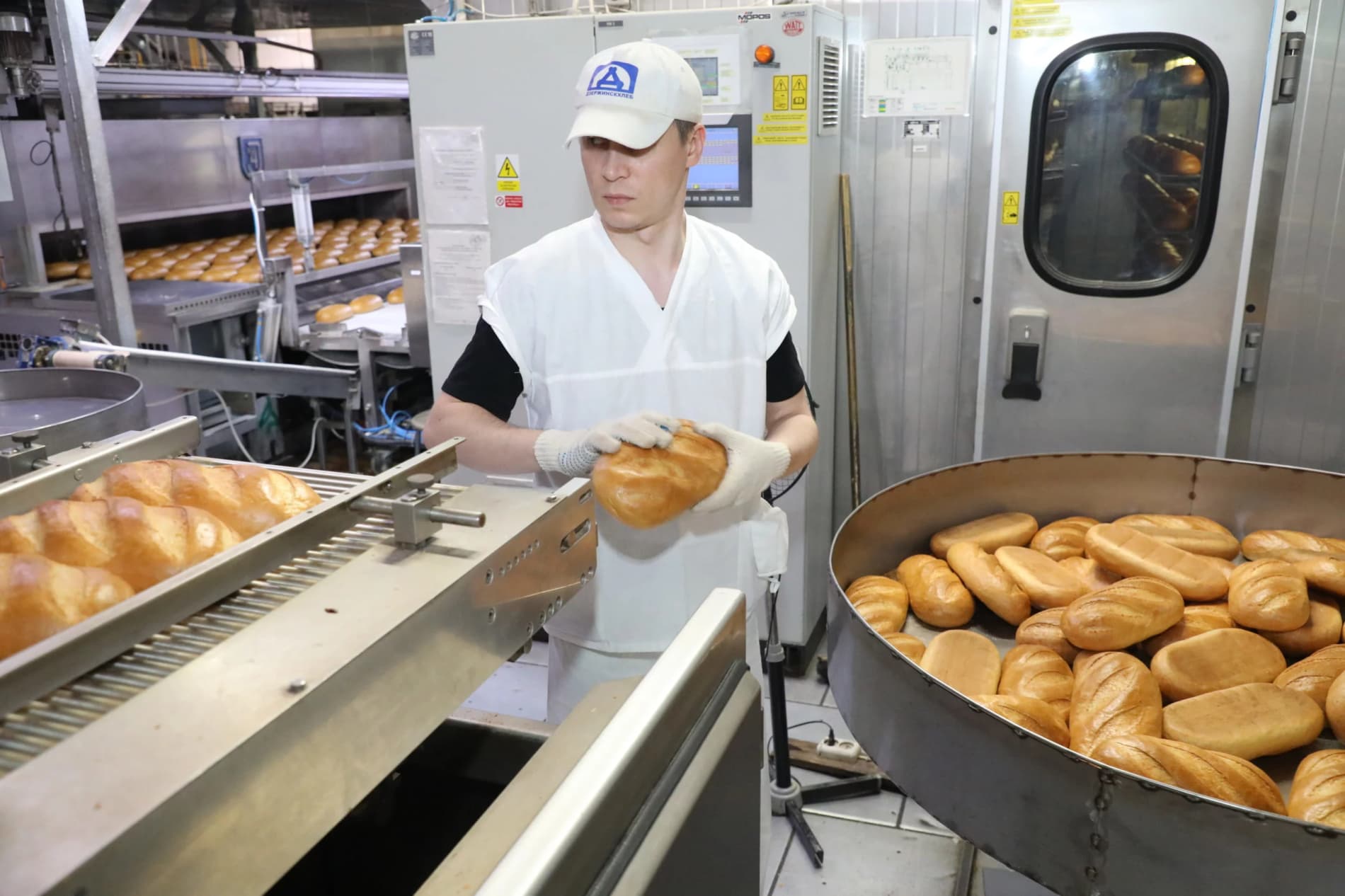 Legal employment — family income and new job opportunities