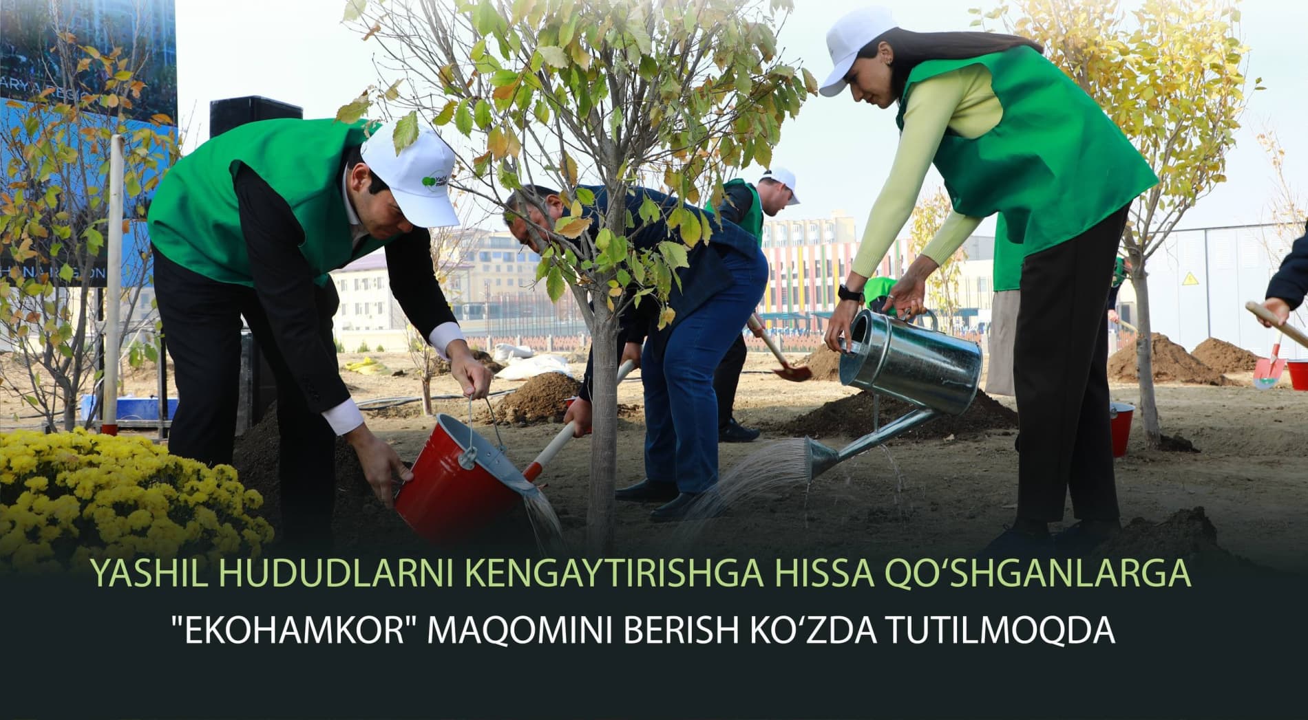 A New “Eco-Partner” Status Is Proposed for Individuals and Organizations Contributing to Green Spaces