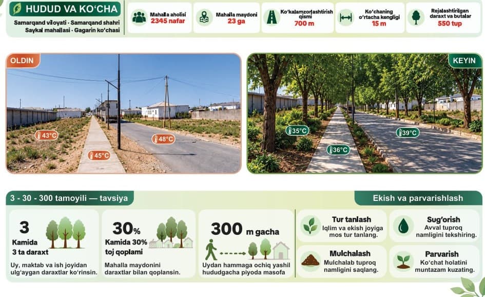 🌳"Yashil makon": mahallalarda soyali sayr ko‘chalari tashkil etilmoqda