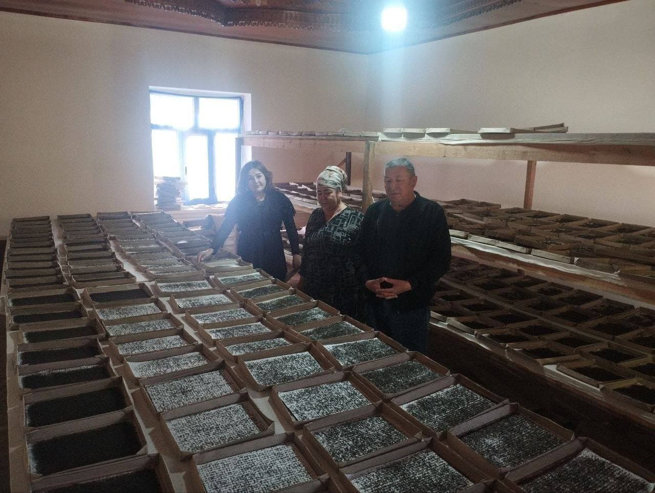 Pilla – tabiiy boylik, milliy meros