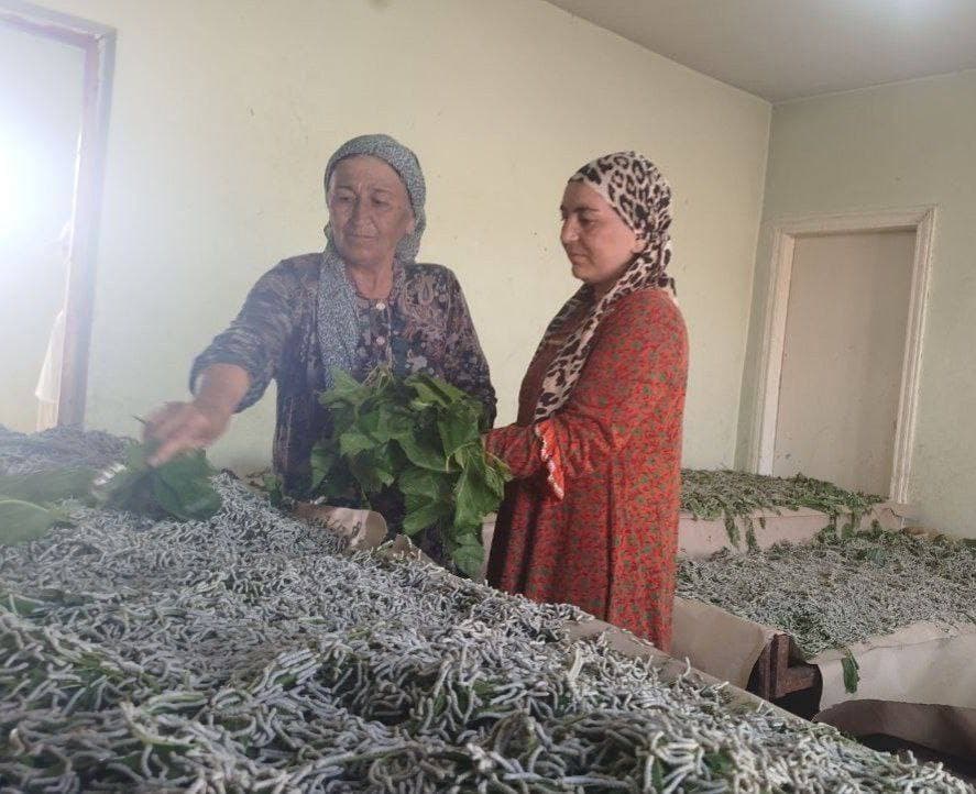 Pilla – tabiiy boylik, milliy meros