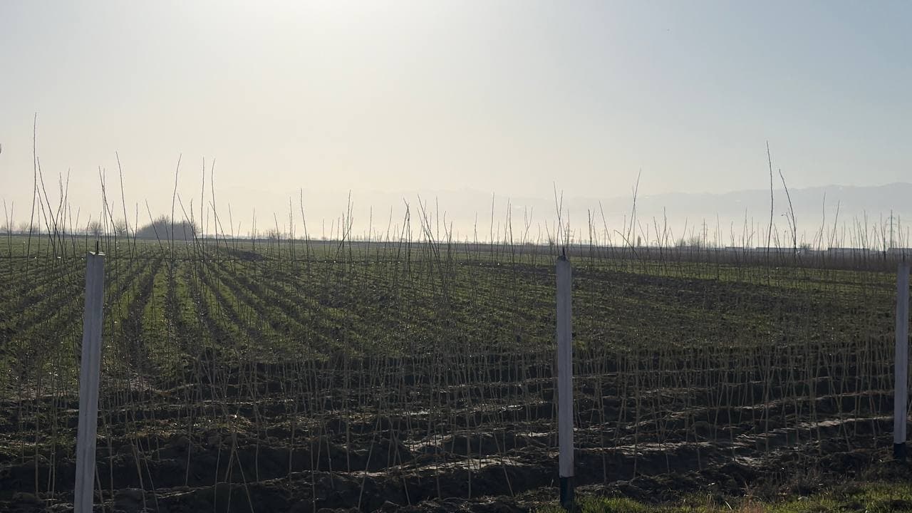 “Houyun Supply Chain” kompaniyasi 2016-yilda Xitoy Xalq Respublikasining Xenan viloyati, Denchjou shahrida tashkil etilgan. Kompaniya zamonaviy qishloq xo‘jaligi xizmatlarini ko‘rsatuvchi yirik agroservis korxonasi hisoblanadi.