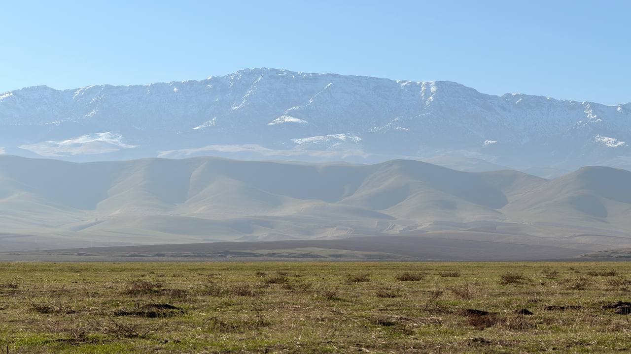 “Houyun Supply Chain” kompaniyasi 2016-yilda Xitoy Xalq Respublikasining Xenan viloyati, Denchjou shahrida tashkil etilgan. Kompaniya zamonaviy qishloq xo‘jaligi xizmatlarini ko‘rsatuvchi yirik agroservis korxonasi hisoblanadi.