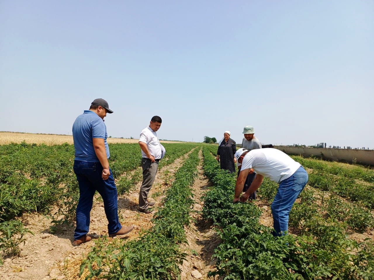 Yoshlarga ajratilgan yerlar samara bermoqda
