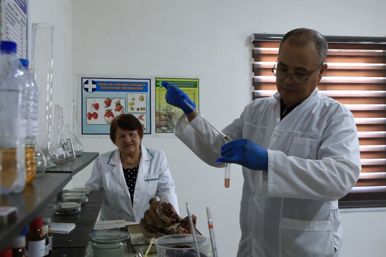 Paxtakor tumani Veterinariya bo’limi tomonidan olib borilayotgan ishlar