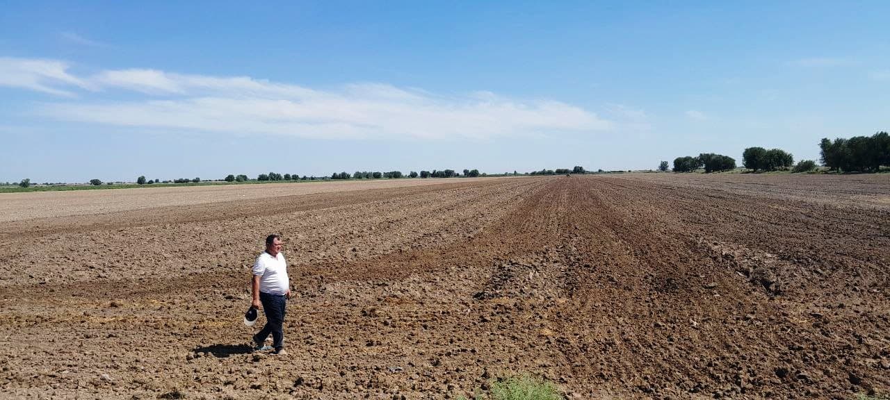 Paxtakor tumanida takroriy ekinlar ekilishi jadal sur’atlarda davom etmoqda