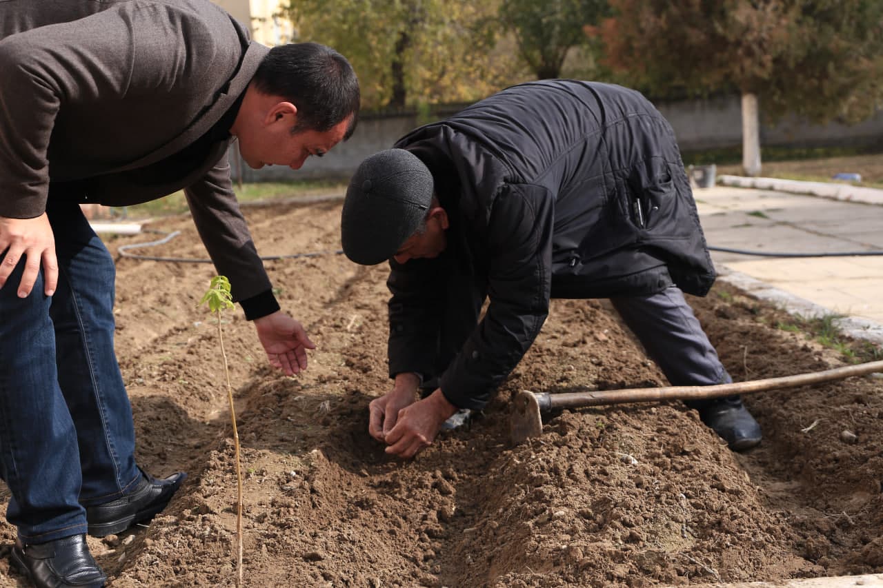 Urug’ ekib, nihollar yaratilmoqdi BOQIY QADRIYATLARNING BUGUNGI DAVOMCHISI