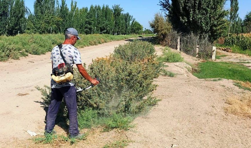 Paxtakor tumanida Mustaqillik bayrami oldidan obodonlashtirish ishlari jadallik bilan olib borilmoqda