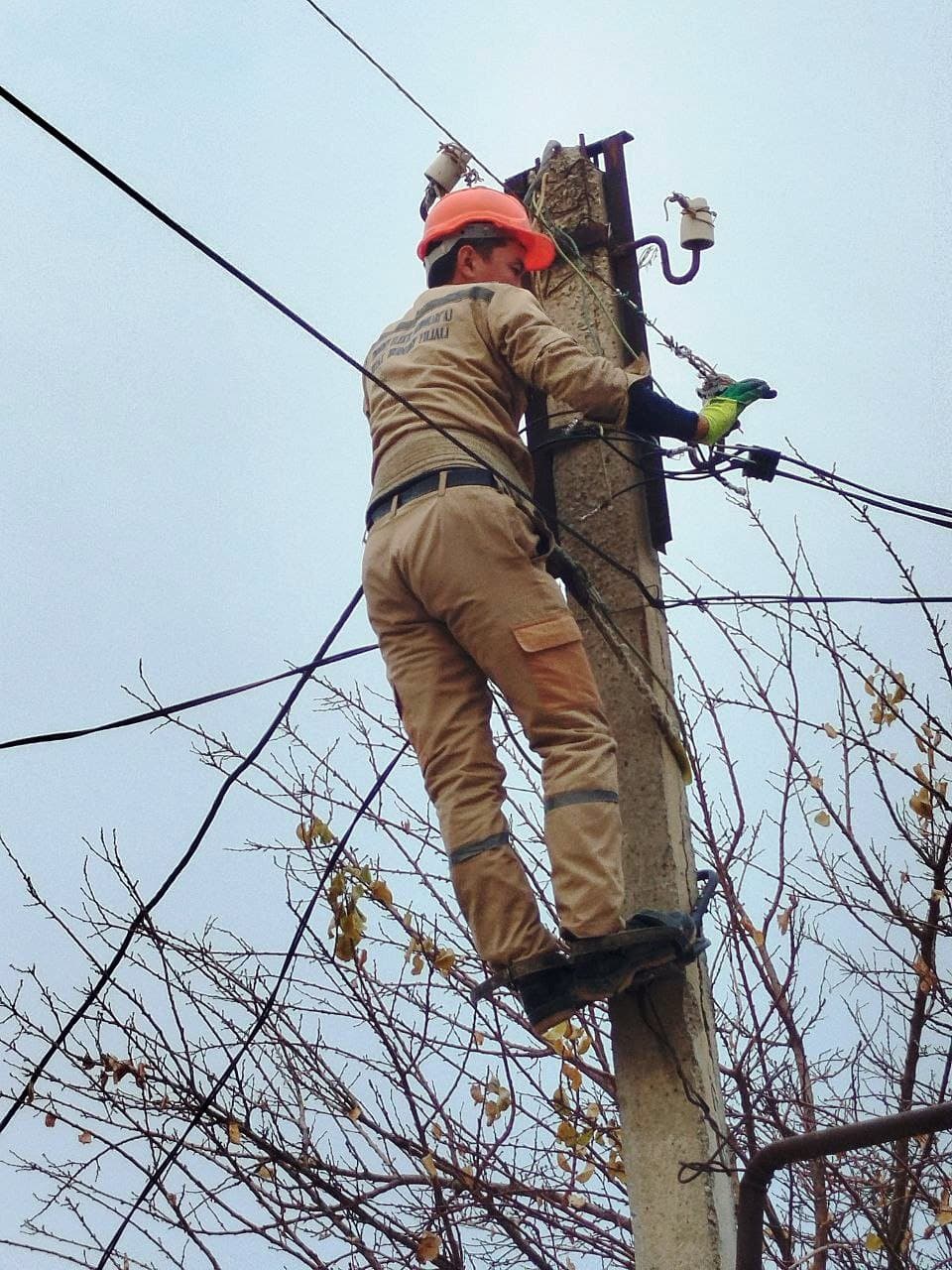 Fidoyilar xalq xizmatida ⚡️