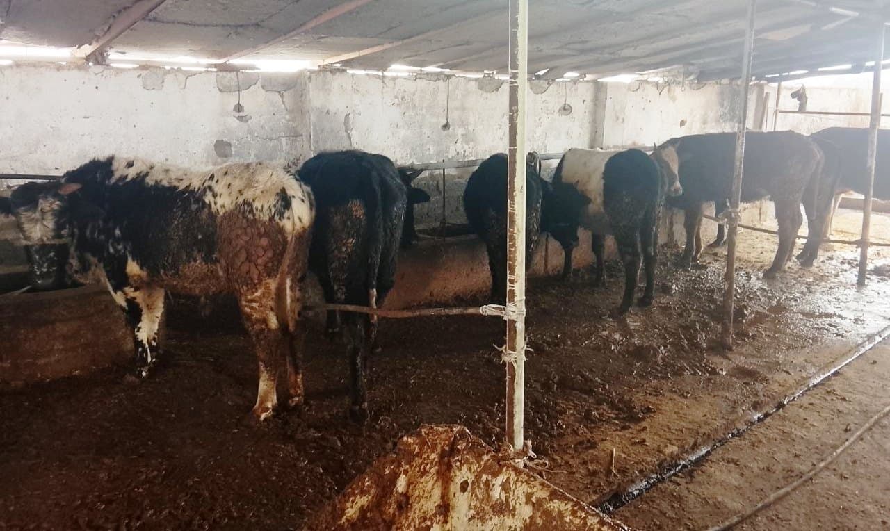 Paxtakor tumani rahbarlari Pedagogika texnikumida o‘rganish ishlarini olib bordilar