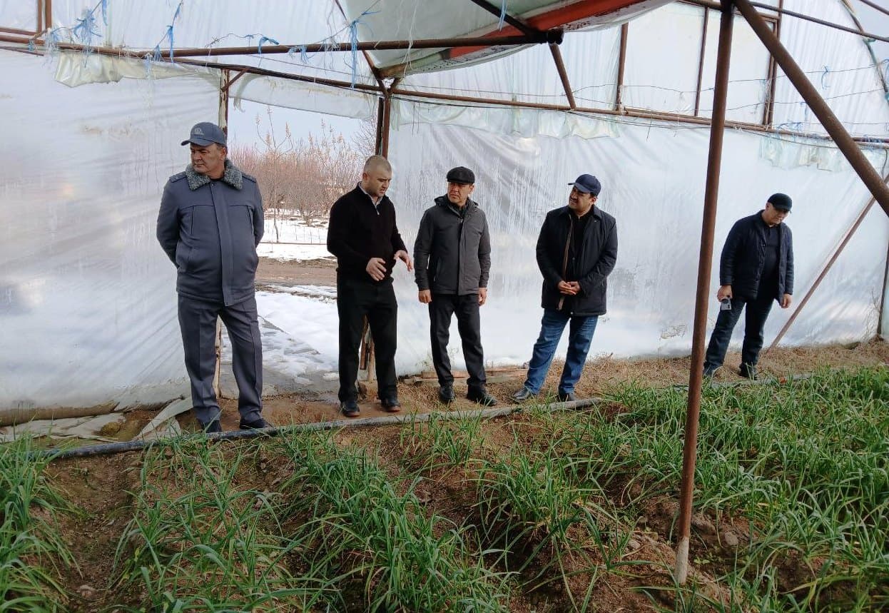 Paxtakor tumani rahbarlari Pedagogika texnikumida o‘rganish ishlarini olib bordilar