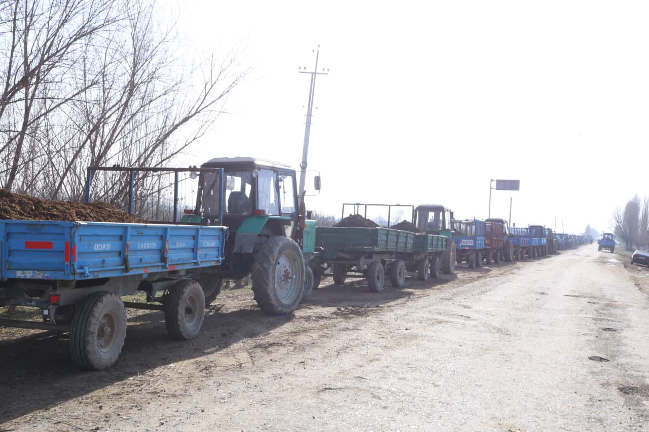 📰 Paxtakor tumanida g‘alla parvarishi bo‘yicha amaliy seminarlar o‘tkazildi 🌾