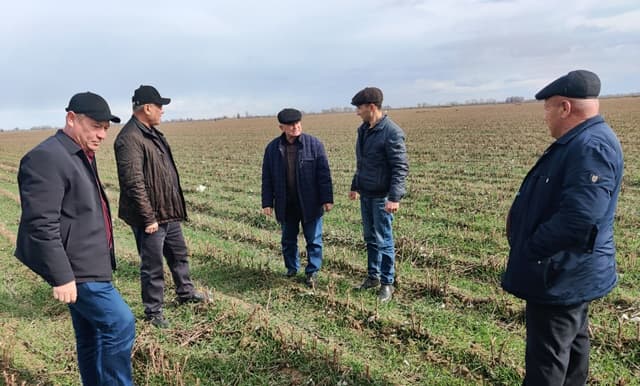 Paxtakor tumanida g‘alla maydonlarida monitoring ishlari olib borildi
