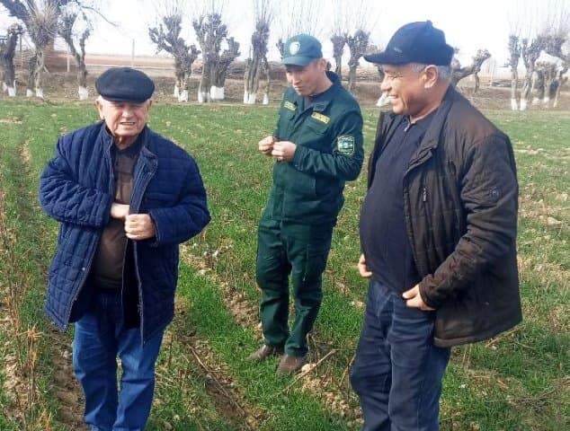 Paxtakor tumanida g‘alla maydonlarida monitoring ishlari olib borildi