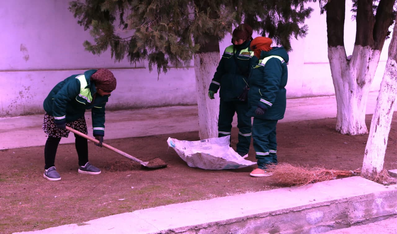 Chamanzor mahallasida obodonlashtirish ishlari o‘rganildi