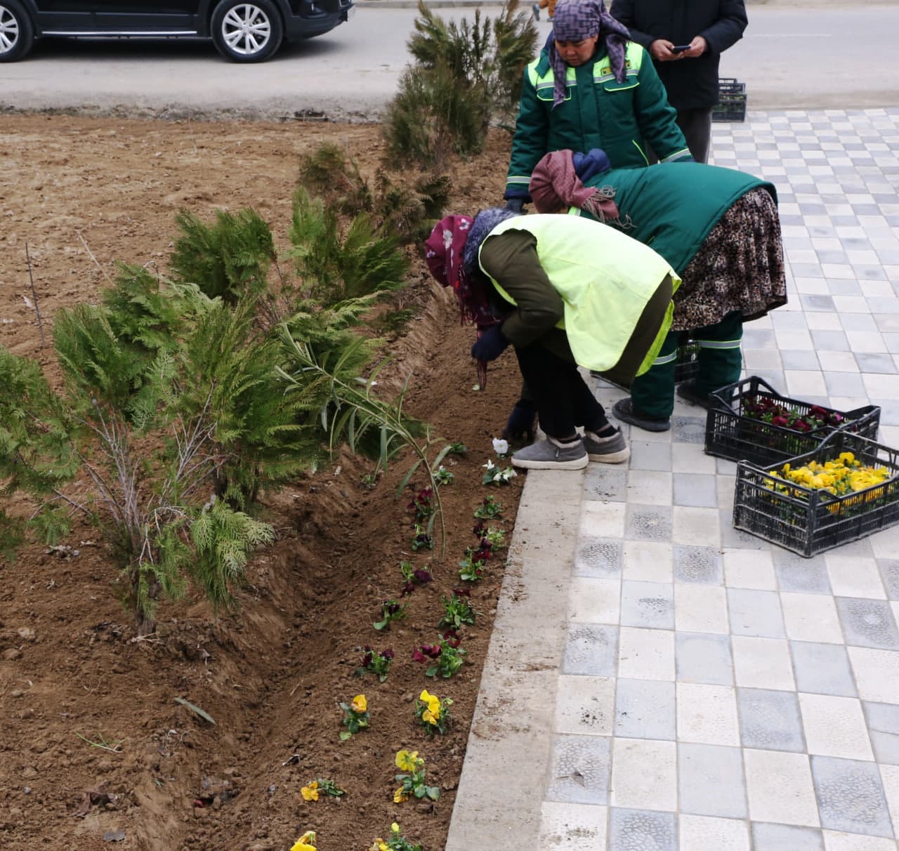 Chamanzor mahallasida obodonlashtirish ishlari o‘rganildi
