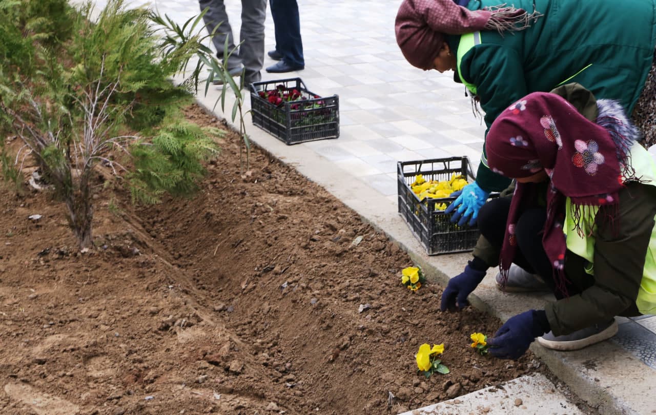 Chamanzor mahallasida obodonlashtirish ishlari o‘rganildi