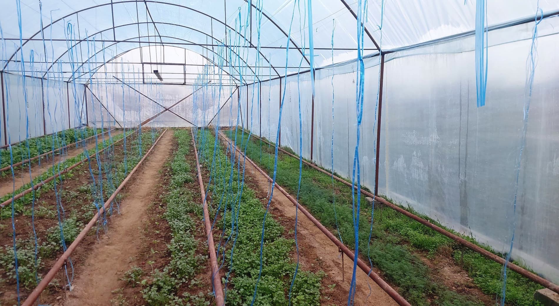 Paxtakor tumanida faoliyat va tadbirkorlik imkoniyatlari o‘rganildi