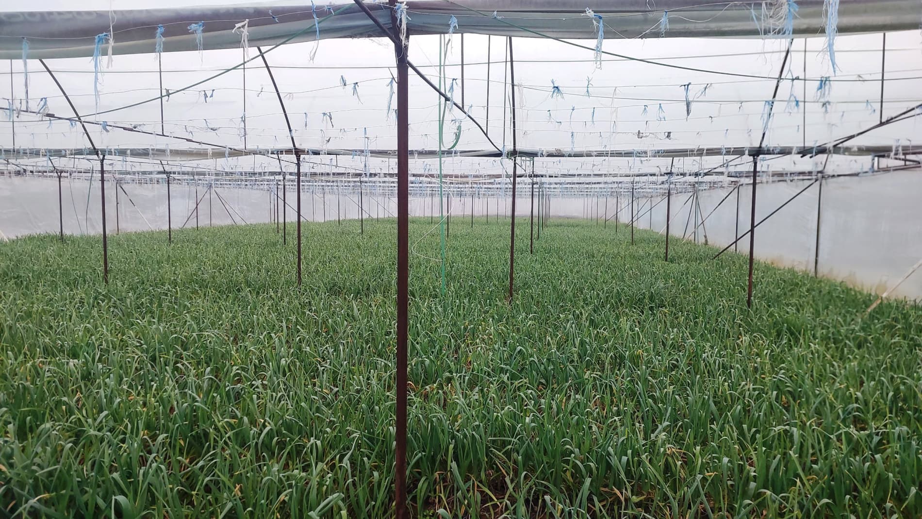 Paxtakor tumanida faoliyat va tadbirkorlik imkoniyatlari o‘rganildi