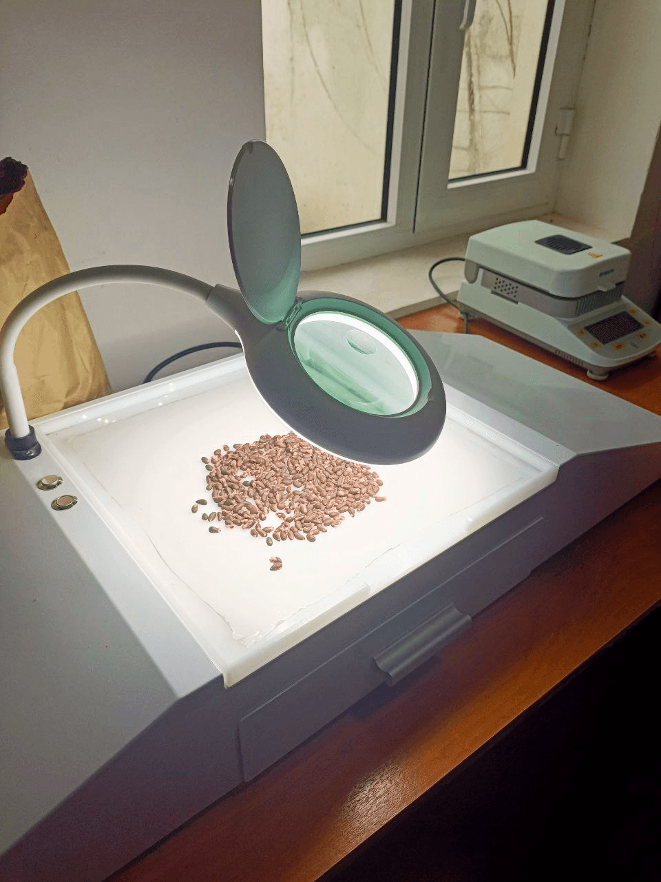 Paxtakor tumanida urug‘lik chigit tayyorlash ishlari nazoratda