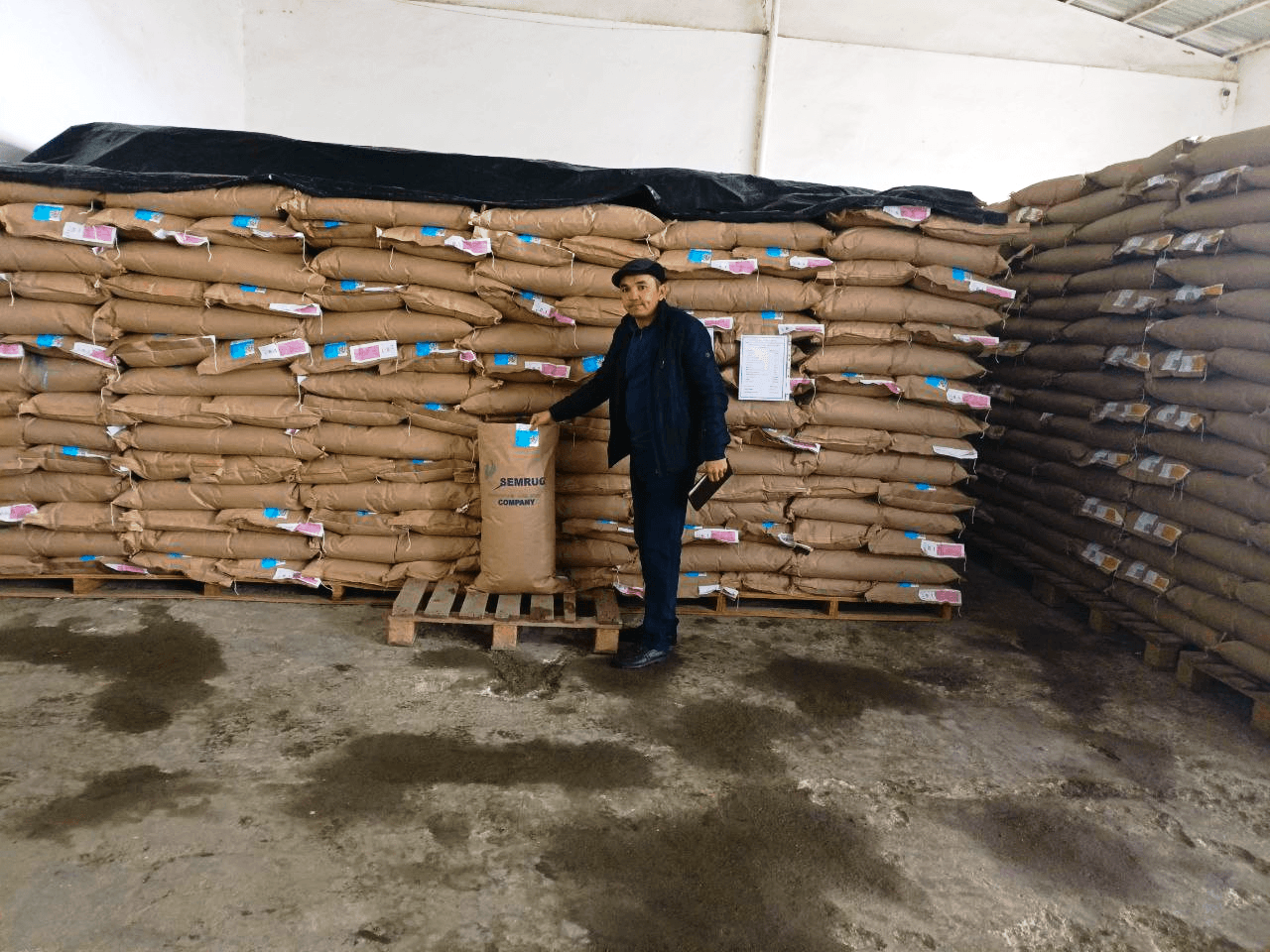 Paxtakor tumanida urug‘lik chigit tayyorlash ishlari nazoratda