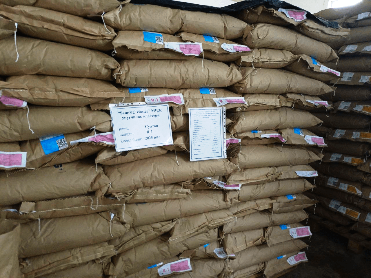 Paxtakor tumanida urug‘lik chigit tayyorlash ishlari nazoratda