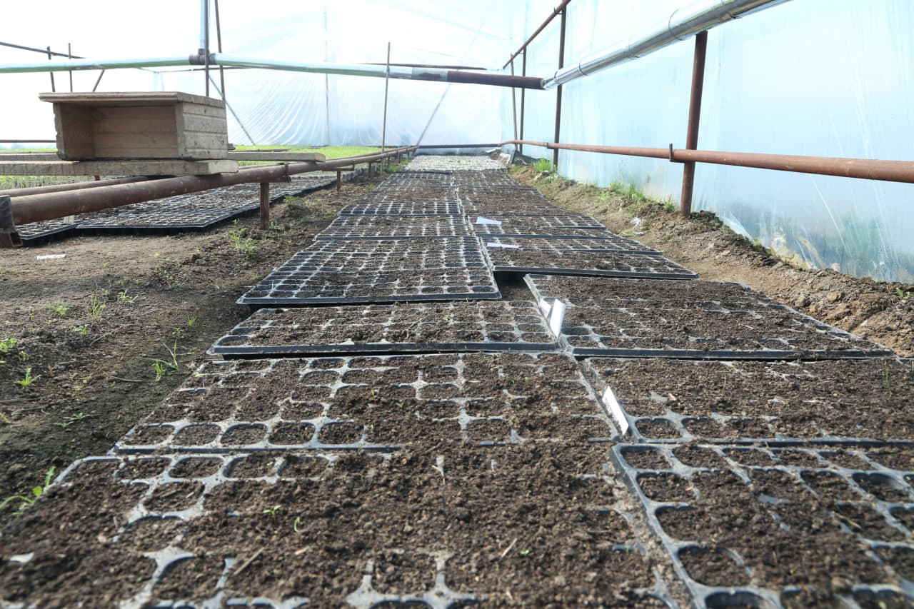 Paxtakor tumanida tomorqa yerlaridan samarali foydalanish bo‘yicha ko‘rgazmali seminar o‘tkazildi