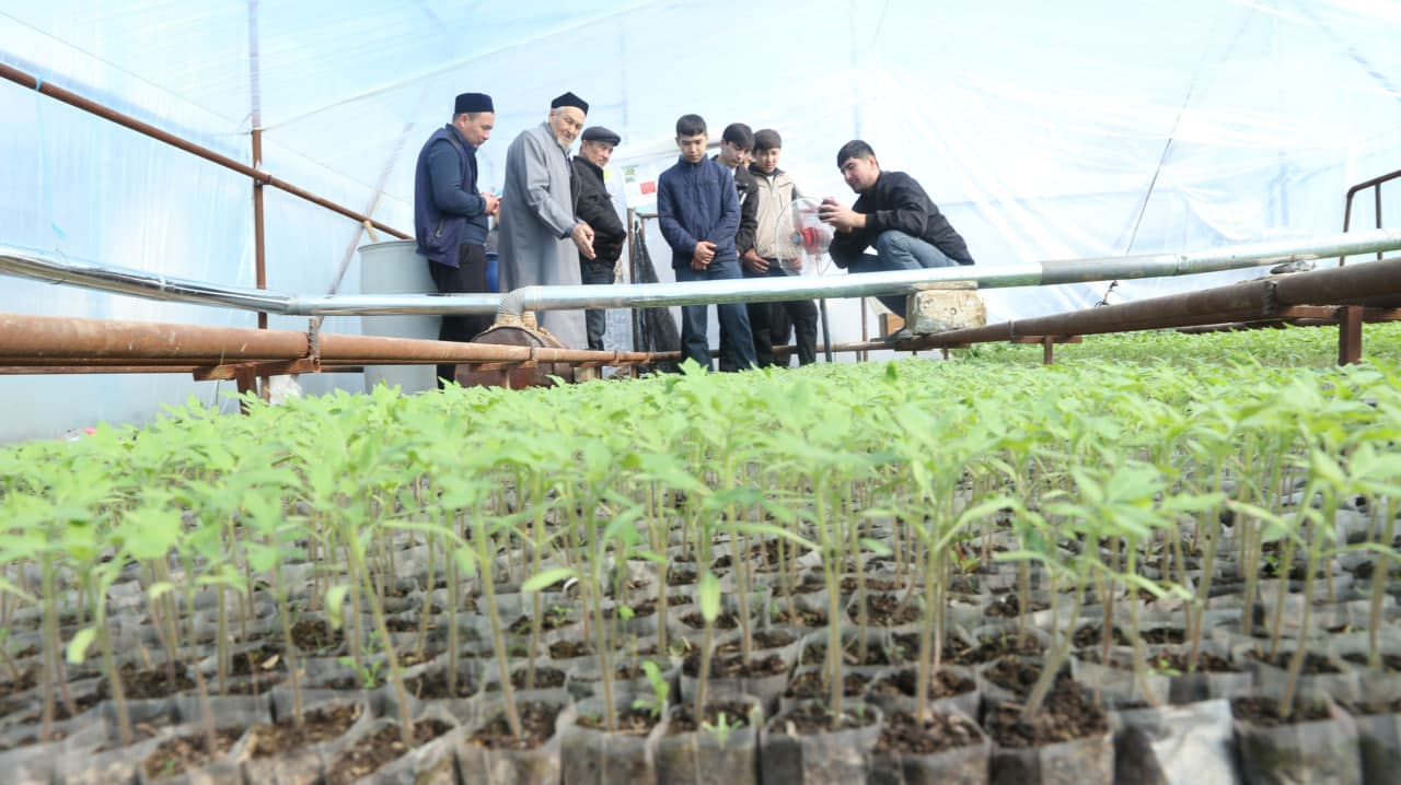 Paxtakor tumanida tomorqa yerlaridan samarali foydalanish bo‘yicha ko‘rgazmali seminar o‘tkazildi