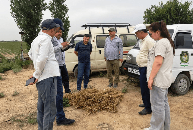 Paxtakor tumanida dala aprobatsiya tadbirlari o‘tkazilmoqda