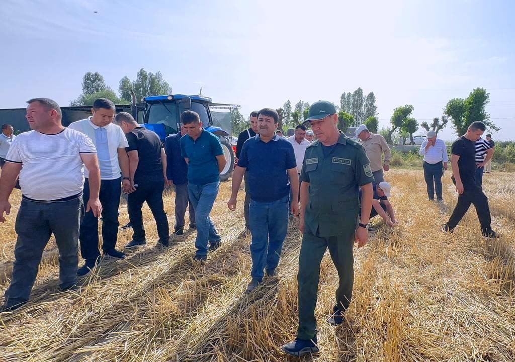 Paxtakor tumanida takroriy ekinlar ekish ishlari boshlandi