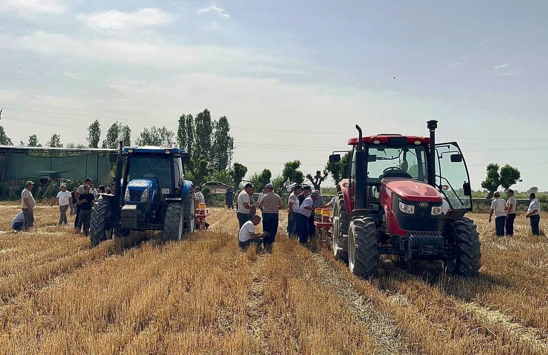 Paxtakor tumanida takroriy ekinlar ekish ishlari boshlandi