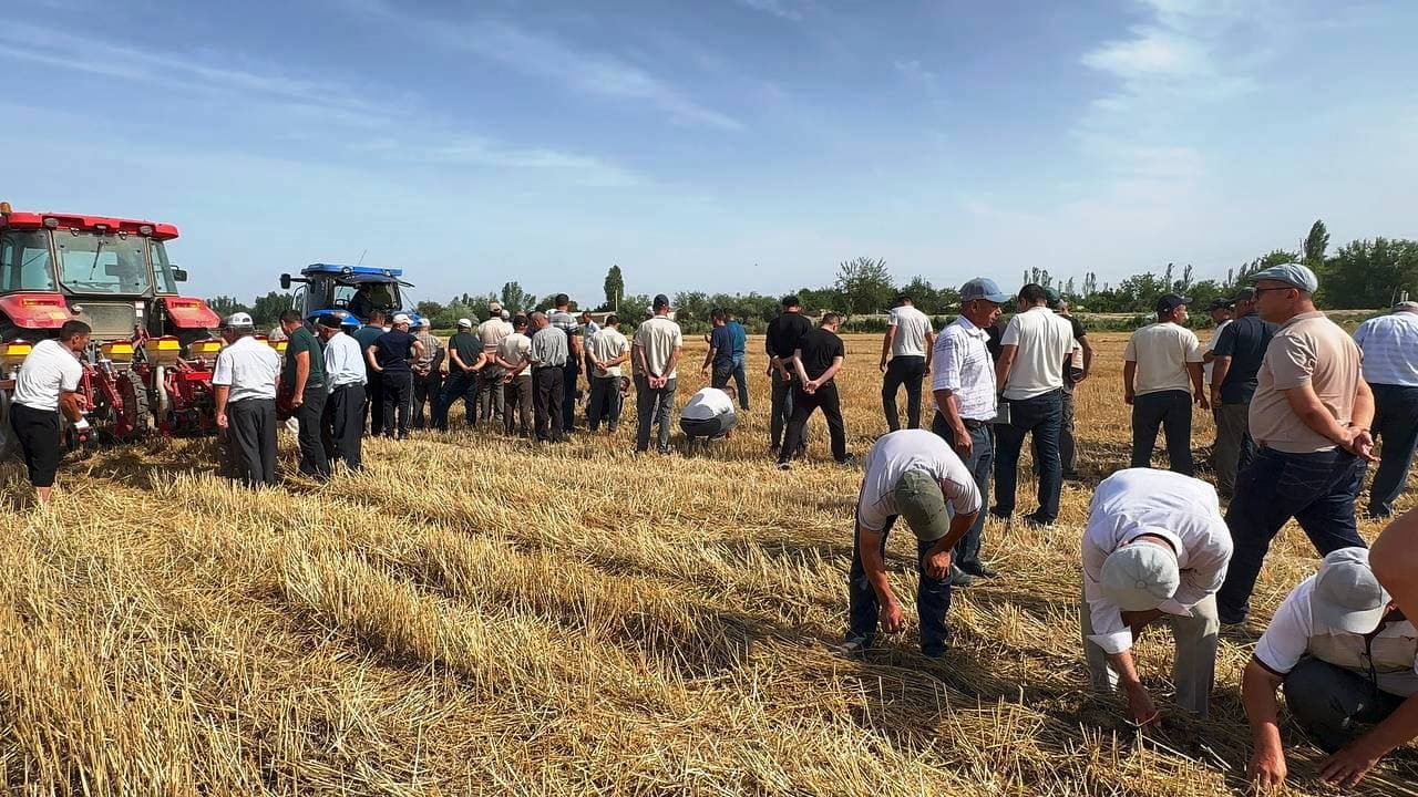 Paxtakor tumanida takroriy ekinlar ekish ishlari boshlandi