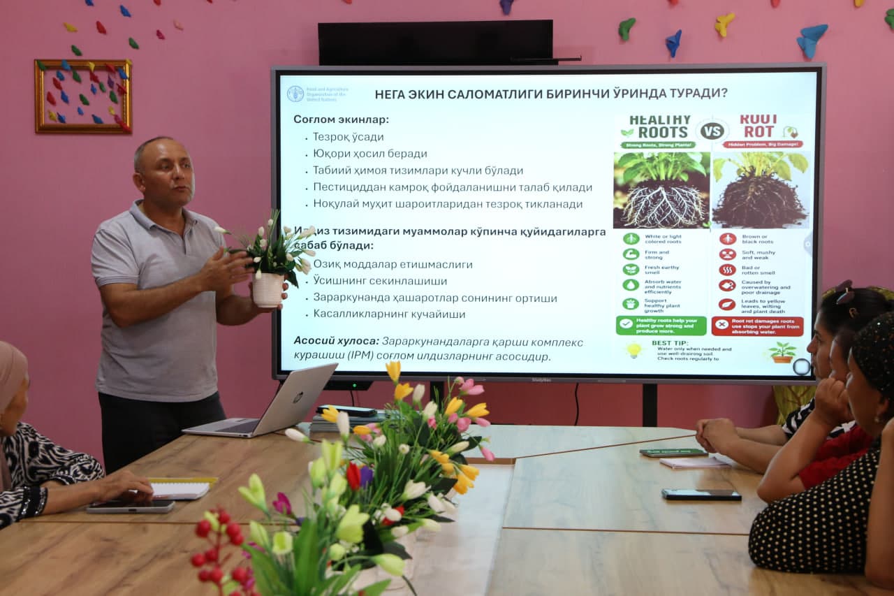 Paxtakor tumanida tomorqachilikda xorijiy tajriba va zamonaviy agrotexnologiyalar joriy etilmoqda