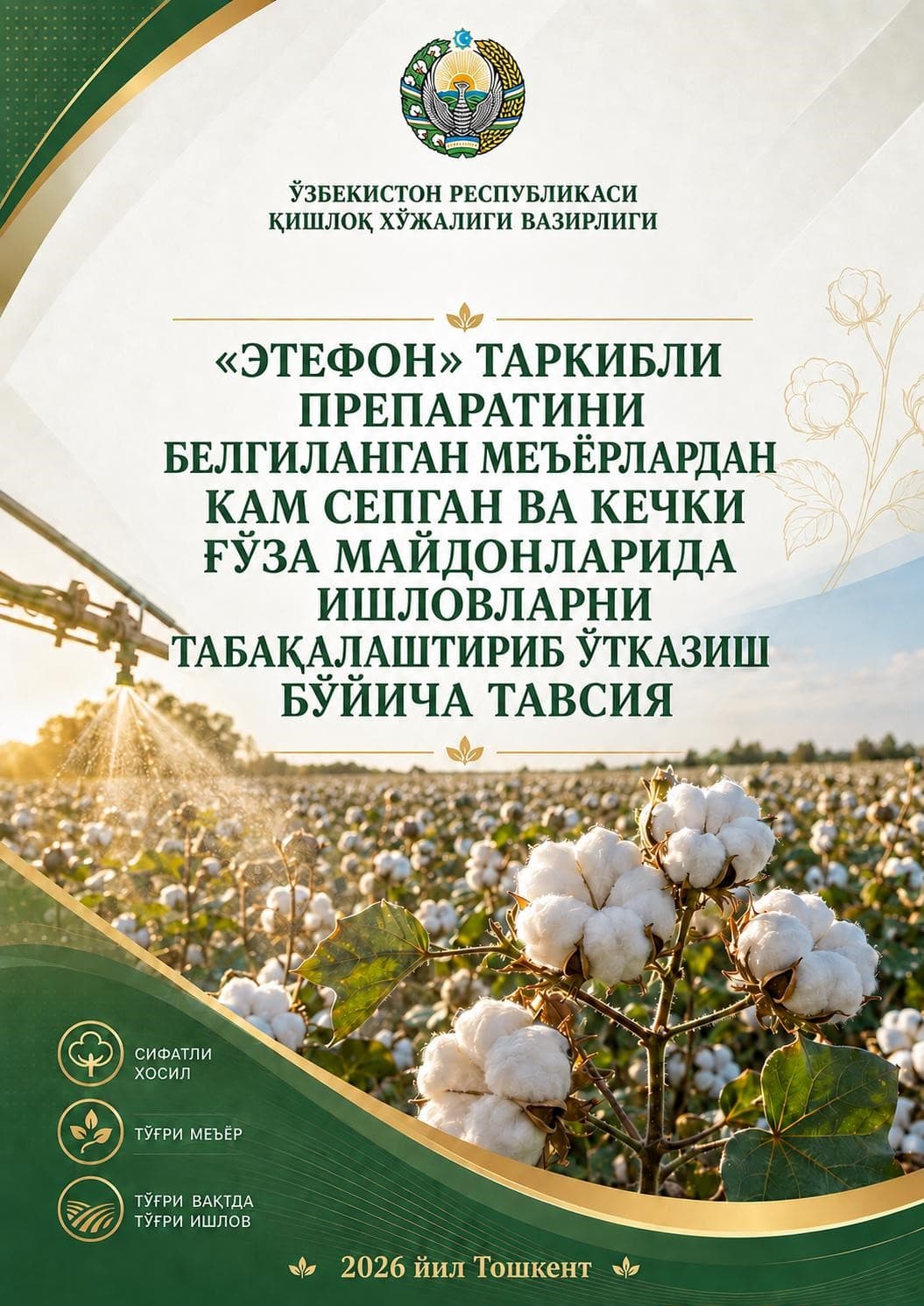 “ETEFON” TARKIBLI PREPARATINI BELGILANGAN ME’YORLARDAN KAM SEPGAN VA KECHKI G‘O‘ZA MAYDONLARIDA ISHLOVLARNI TABAQALASHTIRIB O‘TKAZISH BO‘YICHA TAVSIYA