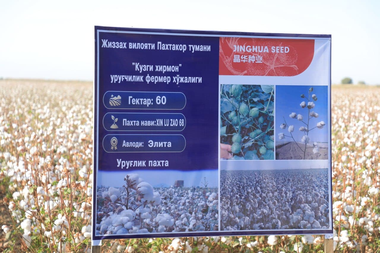 Paxta yig‘im-terimi va g‘alla ekish mavsumiga tayyorgarlik masalalari muhokama qilindi