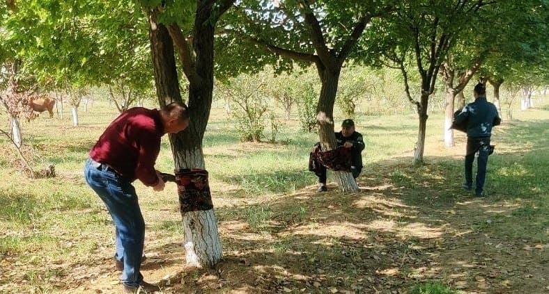 PAXTAKORDA TUTQICH BELBOG‘LARNI O‘RNATISH BO‘YICHA AMALIY SEMINAR O‘TKAZILDI