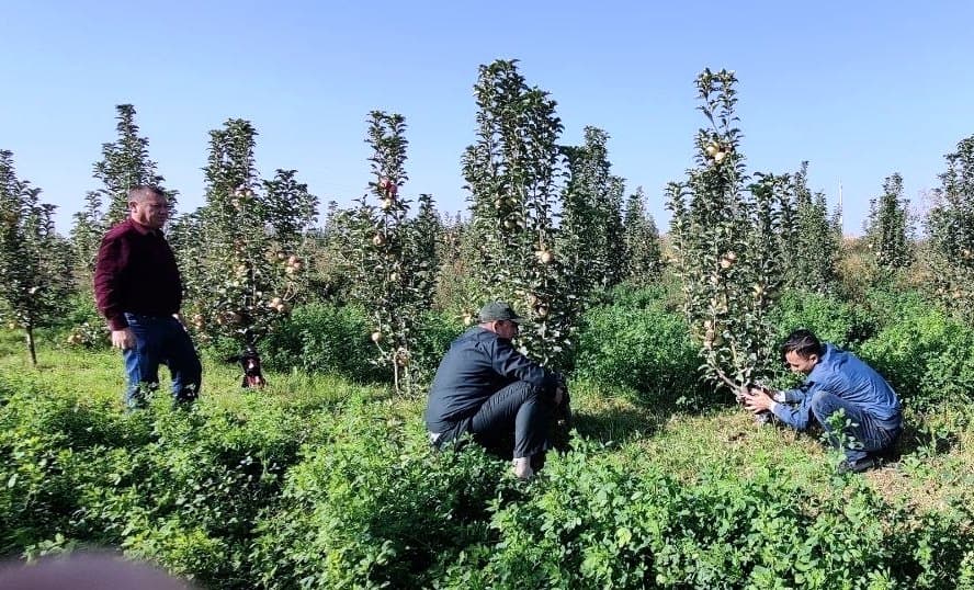 PAXTAKORDA TUTQICH BELBOG‘LARNI O‘RNATISH BO‘YICHA AMALIY SEMINAR O‘TKAZILDI