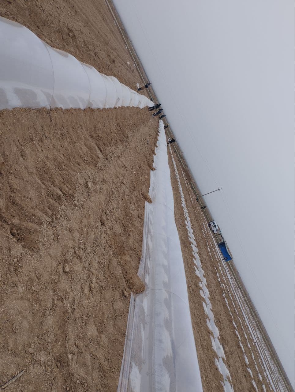FORISH TUMANIDAGI “QIZILQUM” MAHALLASIDA PLYONKA TAGIGA QOVUN-TARVUZ KO‘CHATLARI EKISHGA KIRISHILDI