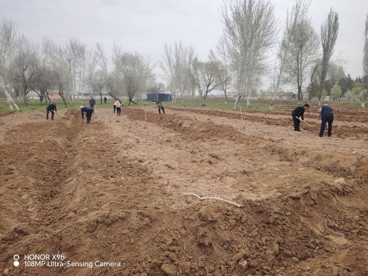 “Mahalla bog‘i” barpo etilmoqda