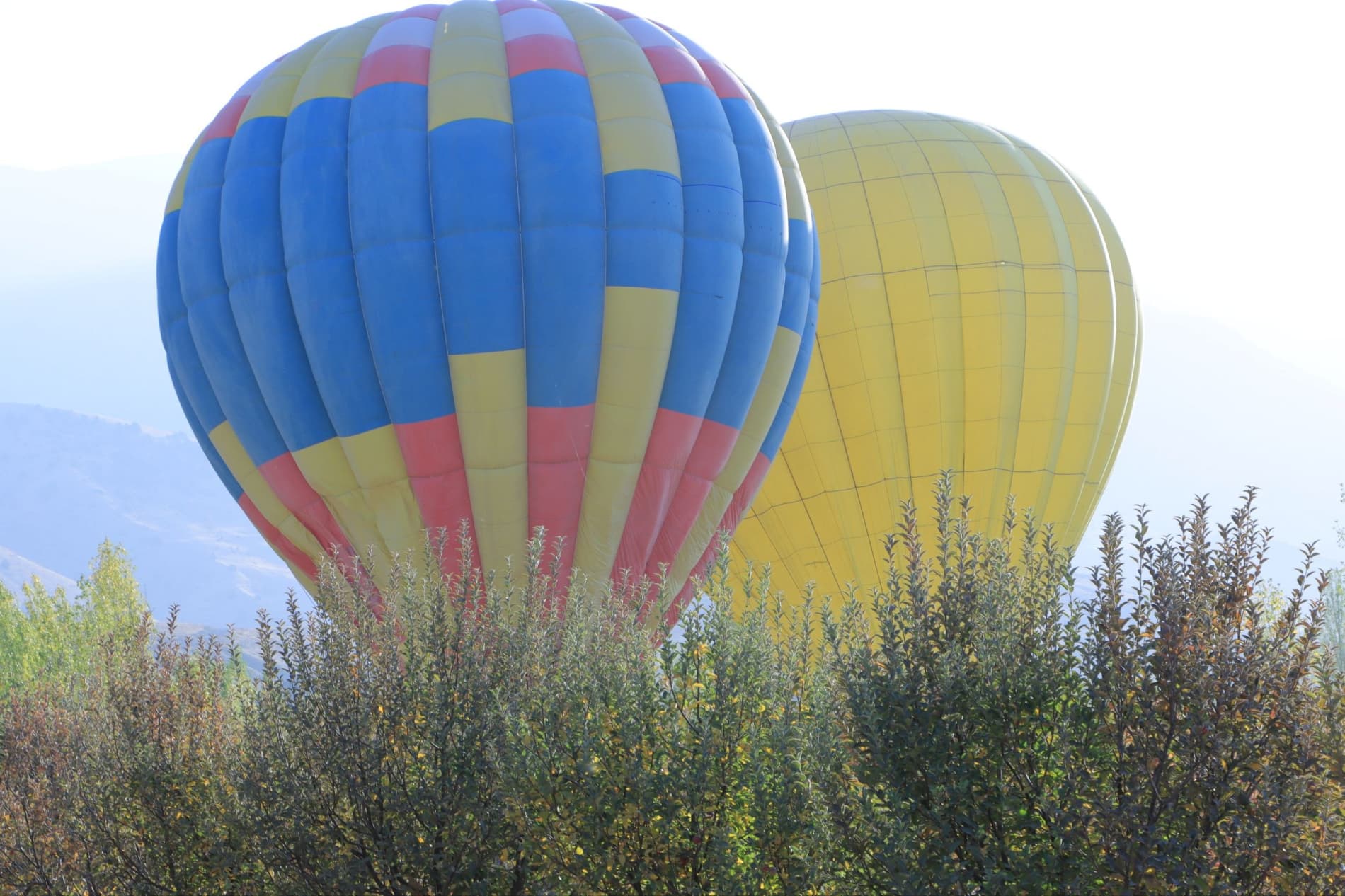 Baxmal tumanida "Olma sayli" festivali o‘tkazildi