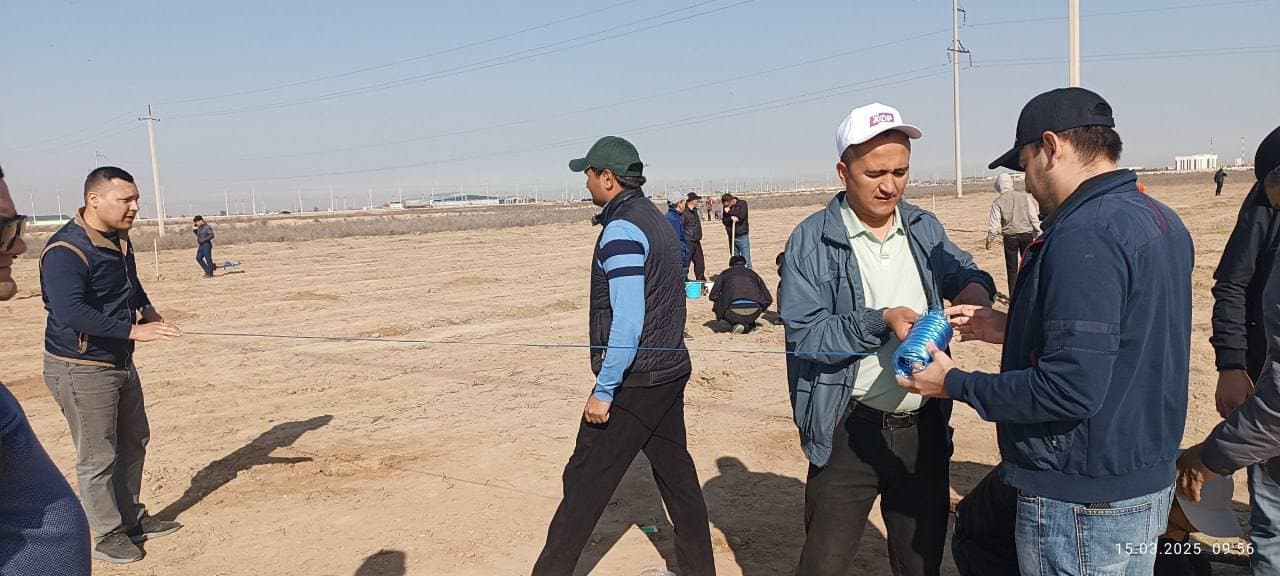 В рамках общенационального проекта «Яшил макон» на территории махалли «Малик» Карманинского района