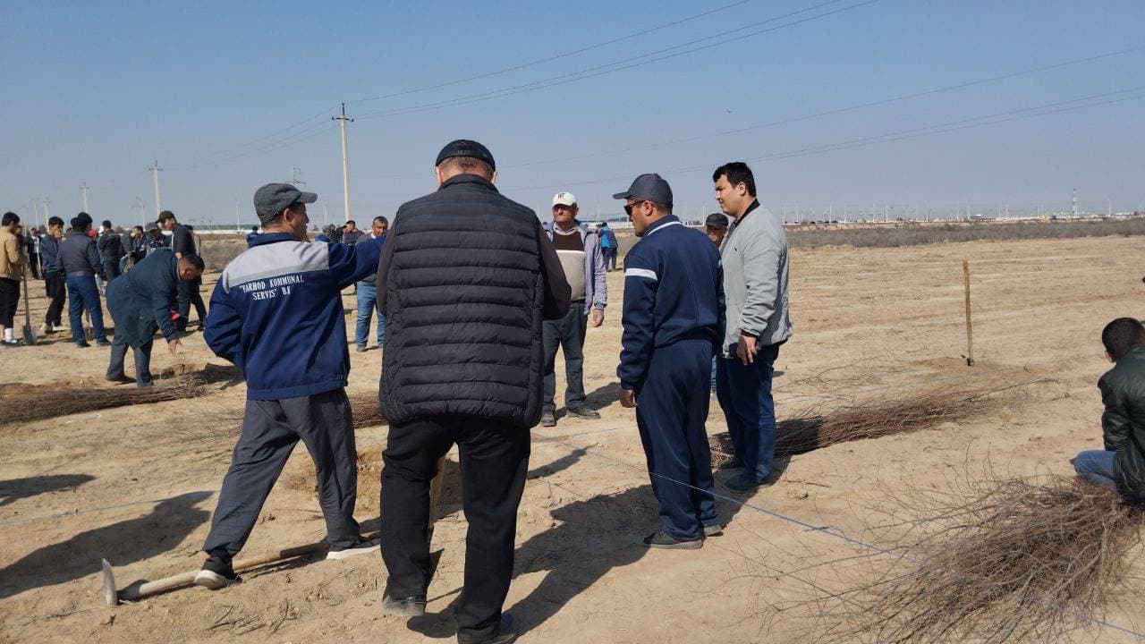 В рамках общенационального проекта «Яшил макон» на территории махалли «Малик» Карманинского района