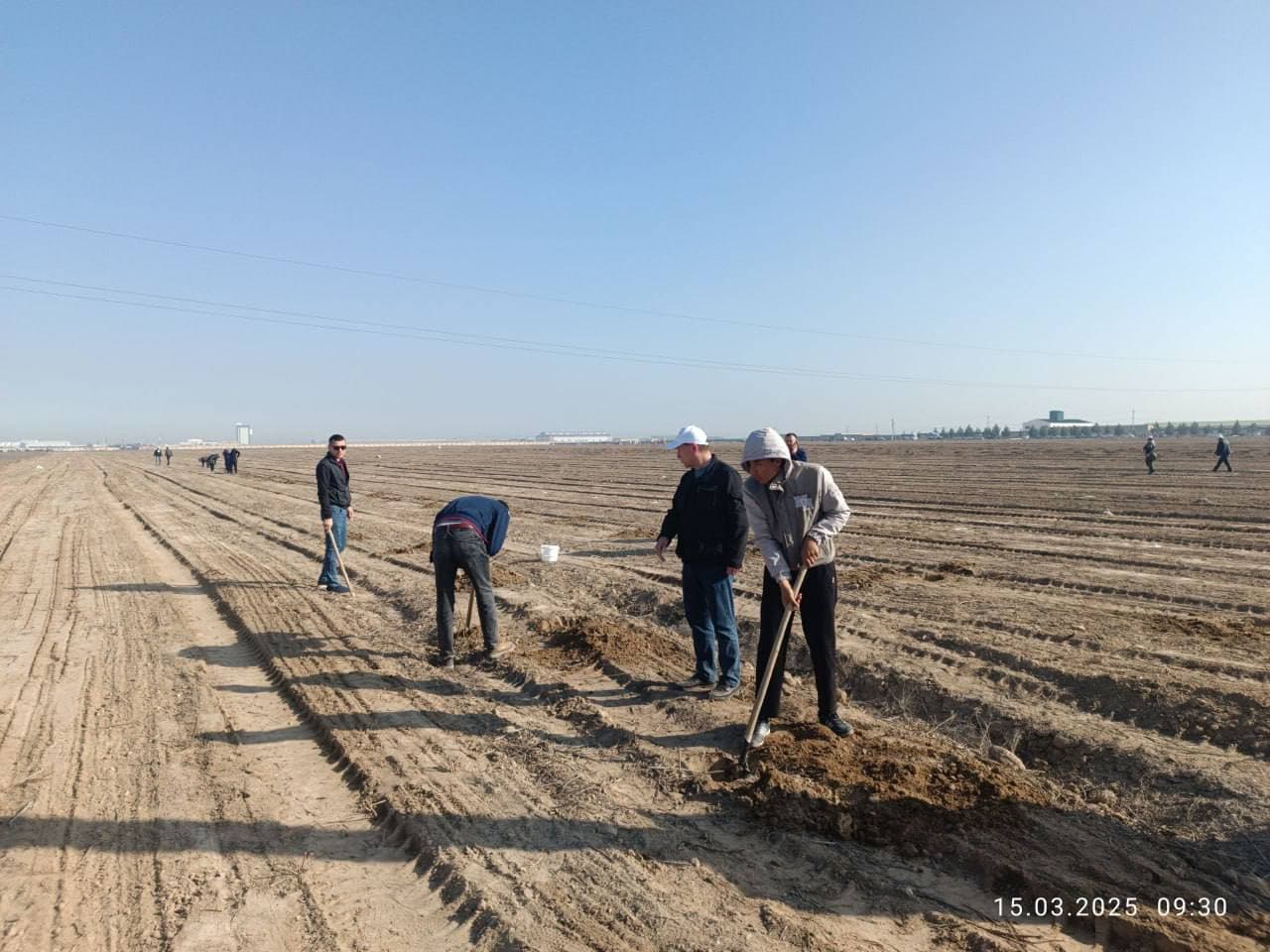 В рамках общенационального проекта «Яшил макон» на территории махалли «Малик» Карманинского района