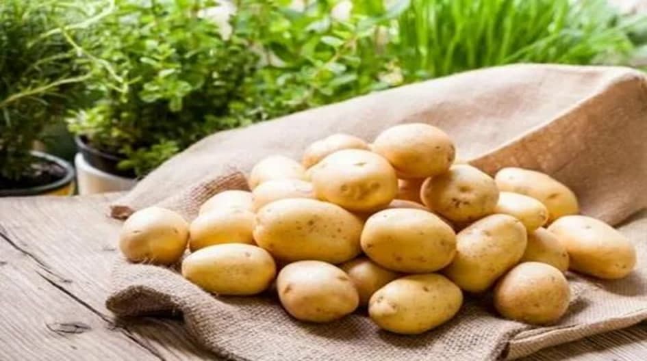 ERTAGI KARTOSHKA YETISHTIRISH BO’YICHA TAVSIYALAR