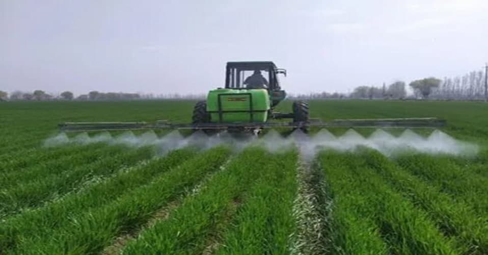 Bug’doy zararkunandalari va kasalliklariga qarshi kurashish boʻyicha muhim tavsiyalar