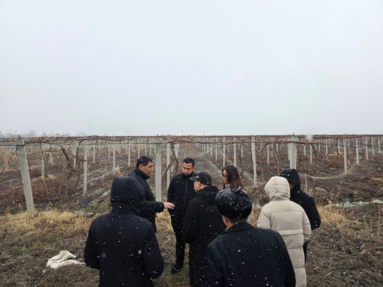 Zomin tumanida Xitoy kompaniyasi delegatsiyasi bilan qishloq xo‘jaligi istiqbollari muhokama qilindi