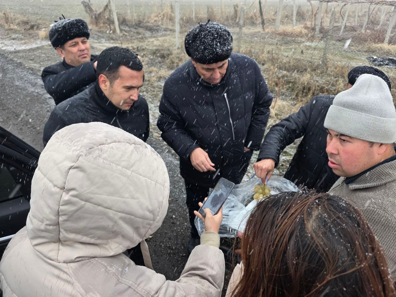 Zomin tumanida Xitoy kompaniyasi delegatsiyasi bilan qishloq xo‘jaligi istiqbollari muhokama qilindi