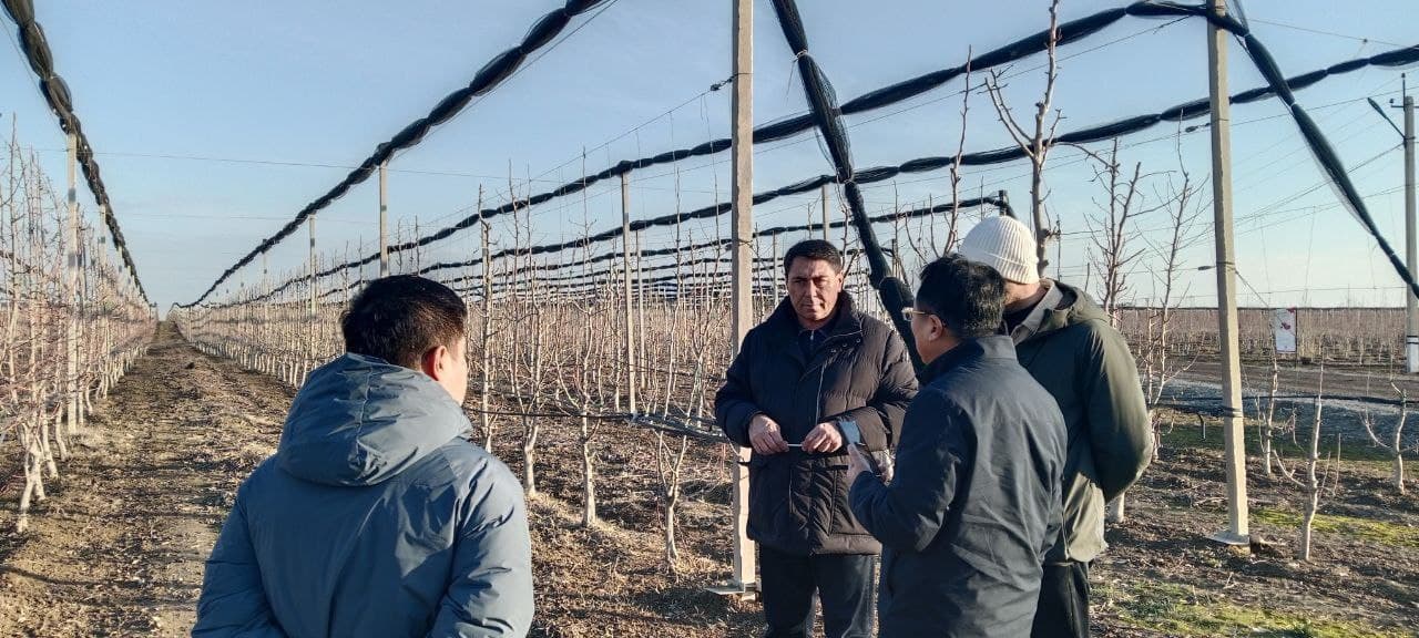 Zomin tumanida O‘zbekiston–Xitoy hamkorligida O'zbek-Xitoy shandong qishloq xojaligi sanoat parki tashkil etish masalalari muhokama qilindi