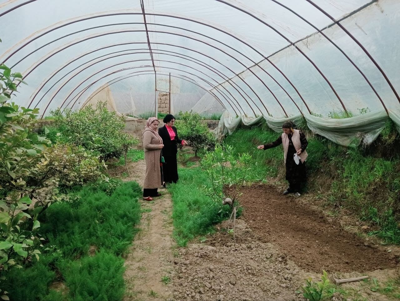 Ayollar bandligini ta’minlashga qaratilgan amaliy seminar